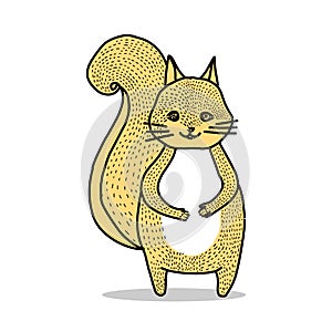 Cartoon squirrel on white background