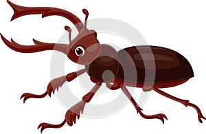 Cartoon stag beetle on white background