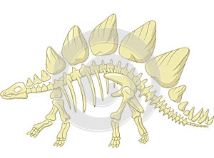 Cartoon Stegosaurus skeleton
