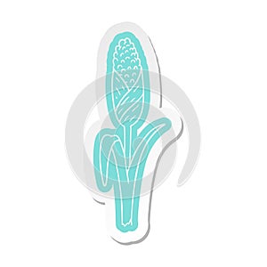 cartoon sticker of fresh corn on the cob