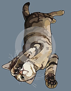 Cartoon striped gray cat lying down playing