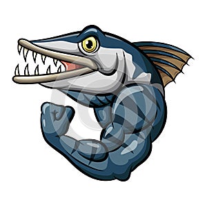 Cartoon strong angry barracuda fish mascot