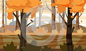 Cartoon style autumn landscape background with trees, nature, for the game, vector illustration