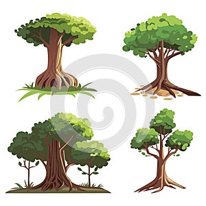 Cartoon style bonsai tree colorful vector illustration. Vector tree illustration on white background. Icon set.