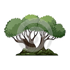 Cartoon style bonsai tree colourful vector illustration. Vector tree illustration on white background.