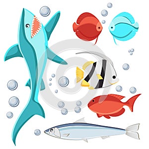 Cartoon style fish and water bubbles. Shark, sardine, discus, zebrasoma, butterfly fish, Isolated on white background.