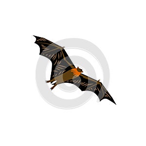 Cartoon style icon of fruit bat. Cute character for different design