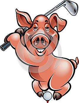 cartoon style pig playing golf photo