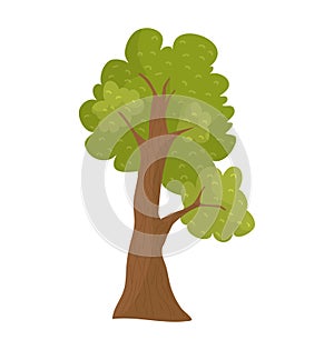 Cartoon style solitary oak tree with lush green foliage and detailed brown trunk isolated on white. Nature and