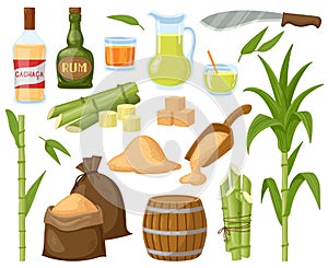 Cartoon sugar cane. Sugarcane leaf plants, sugar cubes, granulated sugar and rum alcoholic liquid vector illustration