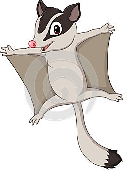 Cartoon sugar glider gliding photo