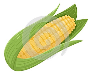 Cartoon sweet golden corn. Summer farm agriculture, raw fresh corn vegetable, yellow organic corn ear for healthy lifestyle flat