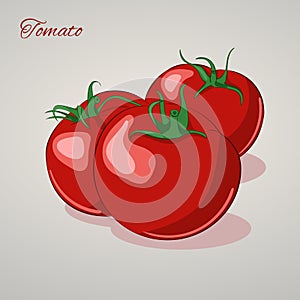 Cartoon sweet tomatoes on grey background, vector illustration.