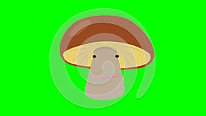 Cartoon talking mushroom loop with alpha channel. Vegetable animation on chroma key green or transparent background.