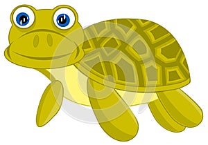 Cartoon of the terrapin on white background