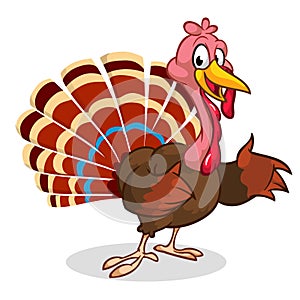 Cartoon Thanksgiving turkey presenting isolated on white. Vector.