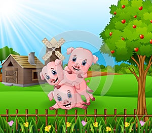 Cartoon three little pigs playing in the farm background