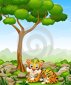 Cartoon tiger lay down in the jungle
