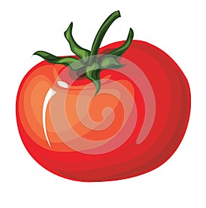 Cartoon Tomato