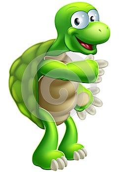 Cartoon Tortoise or Turtle pointing