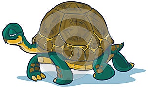 Cartoon Tortoise Walking