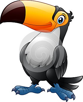 Cartoon toucan isolated on white background