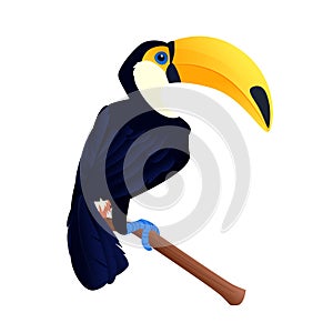 Cartoon toucan on a white background. Flat cartoon illustration for kids.