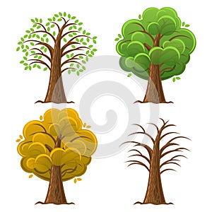 Cartoon tree, oak in the different seasons year. Vector