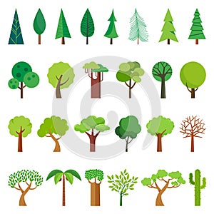 Cartoon tree. Simple flat forest flora, coniferous and deciduous meadow trees
