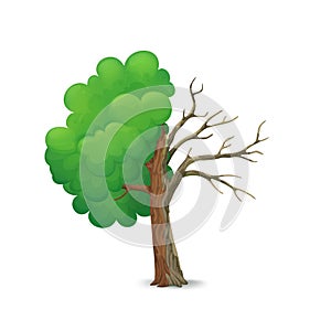 Cartoon tree split in half isolated on a white background. Half with lush green foliage and leafless, dying half.