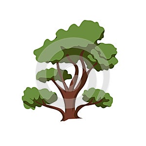 Cartoon tree vector illustration, isolated on white background
