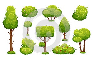 Cartoon trees and bushes. Green plants with flowers for vegetation landscape. Nature forest tree and hedge bush vector photo