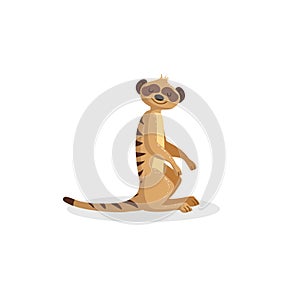 Cartoon trendy design cheerful meerkat sitting. African wildlife animal isolated on white background. Vector suricate