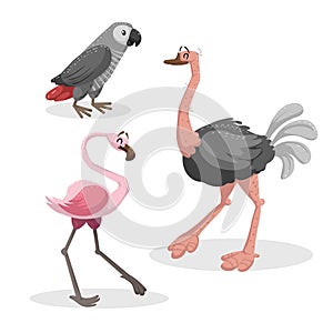 Cartoon trendy style african birds set. Grey parrot, ostrich and flamingo. Closed eyes and cheerful mascots. photo