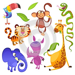 Cartoon tropical animal characters. Wild cartoon cute animals collections vector. Big set of cartoon jungle animals flat vector