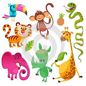Cartoon tropical animals characters