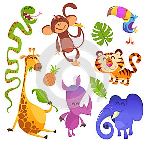 Cartoon tropical animals set