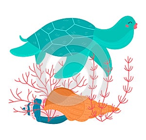 Cartoon tropical color turtle animal swims above seashell and seaweed underwater isolated on white, vector, illustration