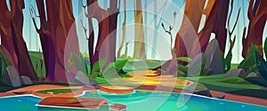 Cartoon tropical forest landscape, ancient trees