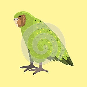 Cartoon tropical kakapo parrot wild animal bird vector illustration wildlife feather zoo color nature vivid.