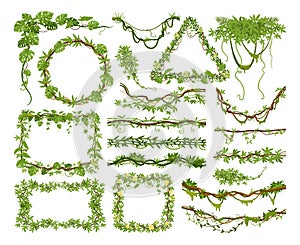 Cartoon tropical liana plants, climbing creepers branches. Jungle hanging liana wild plants, green foliage lianas frames vector