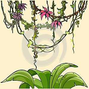 Cartoon tropical plants bush and lianas with flowers photo