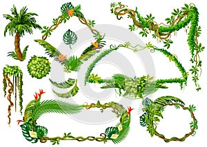 Cartoon tropical plants. Liana branches and forest jungle leaves, game frame elements with space for text. Vector