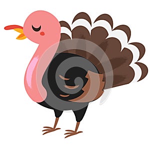 Cartoon turkey gobbler. Farm bird character