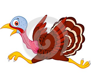 Cartoon turkey running