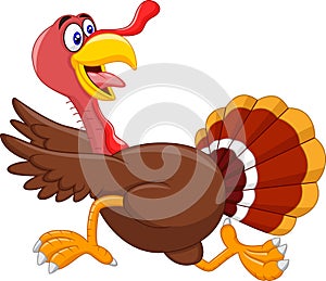 Cartoon turkey running photo