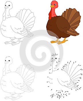 Cartoon turkey. Vector illustration. Dot to dot game for kids