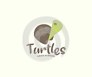 Cartoon turtle graphic design. ?ute turtle hiding in shell logo design
