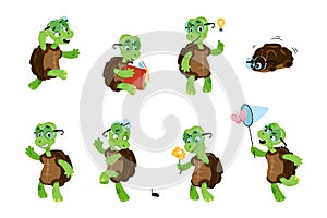 Cartoon turtle. Green child tortoise. Baby marine animal character with different poses and emotions. Funny reptile with