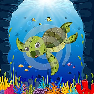 Cartoon turtle underwater